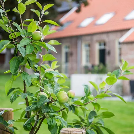 Lägenhet Senden 15 Klaar Kiming