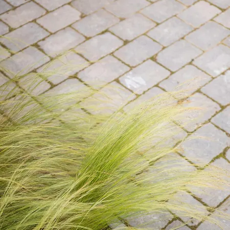Senden 15 Klaar Kiming Lägenhet